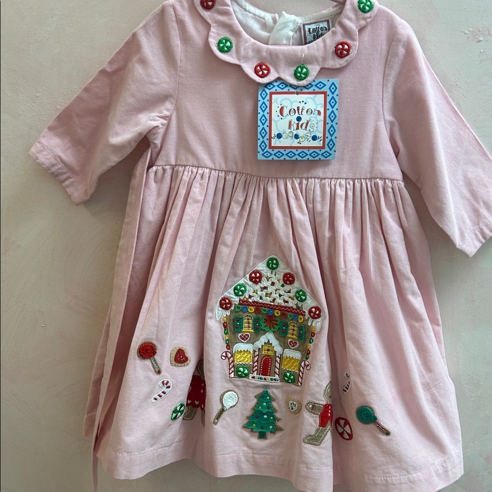 NWT Pink Embroidered Holiday Dress